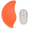 Culotte vibrante télécommandée Riviera Vibromasseur pour femme et coup...
