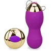 Oeuf vibrant silicone à télécommande USB 12 modes Vibromasseur à dista...