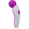 Mini vibromasseur wand Passenger