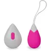 Oeuf vibrant télécommandé Love Drop Vibromasseur à distance pour coupl...