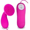 LOVE AND VIBES Stimulateur clitoris brosse à picots