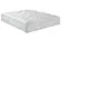 PERSEIDES ASSORTI    150x190