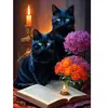Black Cats 500 Pièces  Alipson Puzzle