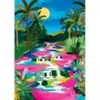 Caño Cristales 500 Pièces Pieces & Peace