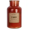 The Home Deco Factory Bougie parfumée Apothicaire 14.5 x 25.7 cm Ambre
