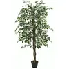 The Home Deco Factory - Plante artificielle feuillage panaché 160 cm