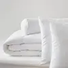 BLANREVE Pack Couette Blanrêve très chaude 260 x 240 + 2 Oreillers 60 ...