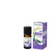 Naturactive Huile Essentielle Bio Romarin A 1,8 Cinéole 10ml