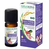 Naturactive Huile Essentielle Gaulthérie Odorante Bio 10ml