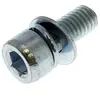 Vis de carter de protection 5131029121 - coupe bordures Ryobi