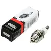 Stihl Bougie oregon rcj6y-wsr6f-bpmr7a 77-307-1 - tronconneuse