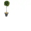 Pegane Plante artificielle haute gamme Spécial extérieur / Buis boule coloris vert - Dim : H.110 x D.45 cm