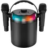 Karaoké Sans Fil 2 Micros Koolstar