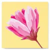 Figured'Art Mini Peinture par Numéro Adulte 20x20cm avec cadre Fleur rose - Petit Format Kit de Loisir Créatif DIY Numéro d'Art Complet