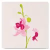 Figured'Art Mini Peinture par Numéro Adulte 20x20cm avec cadre Orchidée - Petit Format Kit de Loisir Créatif DIY Numéro d'Art Complet