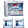 Pack DODO couette naturelle 240 x 260 cm + 2 oreillers Duvet 65 x 65 c...
