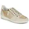 Baskets basses Geox  MYRIA
