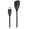Accsup ADAPTATEUR USB-C MALE VERS USB 3.1 FEMELLE NOIR