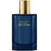 Davidoff Cool Elixir Parfum 1000 ml