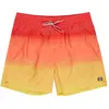 Maillots de bain Billabong  All Day Fade 16" P31569857