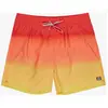 Maillots de bain Billabong  All Day Fade 16" P31569857