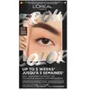 L’Oréal Paris Brow Color teinture sourcils teinte 3.0 Dark Brunette 1 pcs