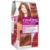 L'Oréal Professionnel Teinture sans ammoniaque Casting Creme Gloss L'Oreal Make Up Ambre