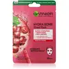 Garnier Skin Naturals Hydra Bomb masque en tissu lissant 28 g