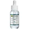 Garnier Skinactive Aloe Hyaluronique Sérum 30ml
