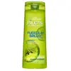 Garnier Fructis Shampoo Force and Gloss Shampoo, 2-in-1 360 ml