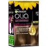 Garnier Olia Coloration Permanente 6.0 Chatain Très Clair