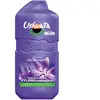 Ushuaïa - Délassante à l'Ylang de Madagascar Gel douche 280 ml unisex