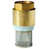 Capvert - Crépine laiton filtre inox Femelle 3/4
