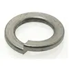 Accton Technology Topcar - 100 Rondelles Inox Grower 8m - 127-8