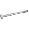 ACTON SIS TOPCAR - 100 tirefonds inox - 571-12X60