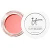 IT Cosmetics Glow With Confidence colorete #10-Fair Light