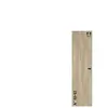 Porte armoire battante ABSOLU