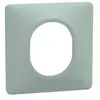 Plaque de finition 1 poste Ovalis Schneider Finition: Sauge