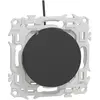 Va-et-vient ou poussoir lumineux noir Odace (S940263)