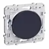 Schneider SCHNEIDER ELECTRIC Obturateur Odace anthracite