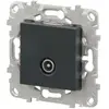 Schneider Prise TV simple anthracite Unica