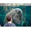 - Coffret Cadeau Activité en famille : entrée pour 2 adultes et 2 enfa...
