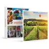 Smartbox Coffret Cadeau - Vol en Montgolfière au départ de Beaune en s...