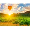 Coffret Cadeau - Vol en montgolfière pour 2 au-dessus des vignobles de...