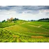 - Coffret Cadeau 2 jours en Italie dans le Chianti avec dîner toscan t...