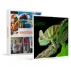 Coffret Cadeau - Rencontre avec les reptiles et les amphibiens pour 2 ...