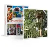 - Coffret Cadeau Séjour insolite : 3 jours en chalet sur pilotis près ...