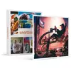 Coffret Cadeau - Pilotage de course automobile de 30 min sur simulateu...