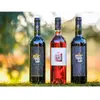 Smartbox Coffret Cadeau - Coffret de vins à déguster à la maison- Gastronomie