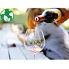 Coffret Cadeau - Dégustation passionnante de 11 vins biologiques du Do...